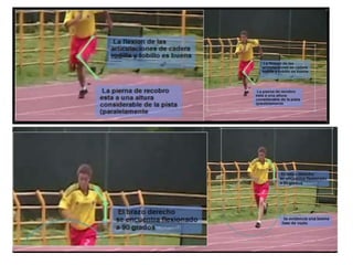 Analisis cualitativo