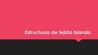 Estructuras de tejido blando
 