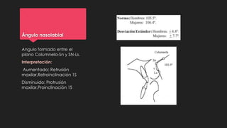 Ángulo nasolabial
Angulo formado entre el
plano Columnela-Sn y SN-Ls.
Interpretación:
Aumentado: Retrusión
maxilar,Retroinclinación 1S
Disminuido: Protrusión
maxilar,Proinclinación 1S
 