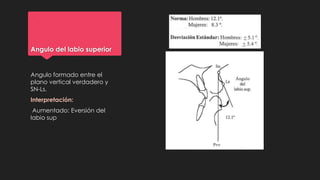 Angulo del labio superior
Angulo formado entre el
plano vertical verdadero y
SN-Ls.
Interpretación:
Aumentado: Eversión del
labio sup
 