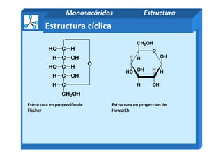O
CH2OH
H OH
HHOH
H
OH
CHO
C OHH
C HHO
C OHH
O
H
Estructura cíclica
Monosacáridos Estructura
Estructura en proyección de
Fischer
OHH
C OHH
CH
CH2OH
Estructura en proyección de
Haworth
 