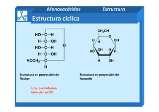 O
CH2OH
H OH
HHOH
H
OH
CHO
C OHH
C HHO
C OHH
O
H
Estructura cíclica
Monosacáridos Estructura
Estructura en proyección de
Fischer
OHH
Estructura en proyección de
Haworth
C OHH
CHOCH2
H
Una permutación
Inversión en C5
 