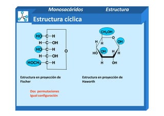 CHO
C OHH
C HHO
C OHH
H
O
O
CH2OH
H OH
HHOH
H
OH
Estructura cíclica
Monosacáridos Estructura
Estructura en proyección de
Fischer
Estructura en proyección de
Haworth
Dos permutaciones
Igual configuración
C OHH
CHOCH2 H OHH
 