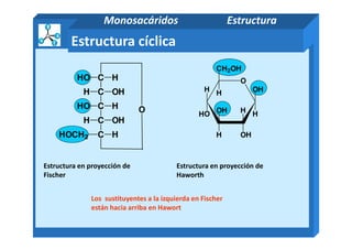 CHO
C OHH
C HHO
C OHH
H
O
O
CH2OH
H OH
HHOH
H
OH
Estructura cíclica
Monosacáridos Estructura
Estructura en proyección de
Fischer
Estructura en proyección de
Haworth
Los sustituyentes a la izquierda en Fischer
están hacia arriba en Hawort
C OHH
CHOCH2 H OHH
 