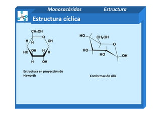 O
CH2OH
H OH
HHOH
H
OH
O
HO
HO
HO OH
CH2OH
Estructura cíclica
Monosacáridos Estructura
Conformación silla
OHH
Estructura en proyección de
Haworth
OH
 