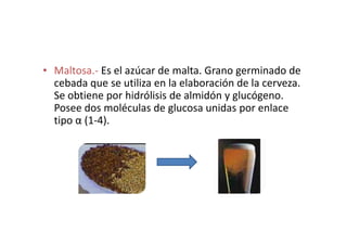 • Maltosa.- Es el azúcar de malta. Grano germinado de
cebada que se utiliza en la elaboración de la cerveza.
Se obtiene por hidrólisis de almidón y glucógeno.
Posee dos moléculas de glucosa unidas por enlace
tipo α (1-4).tipo α (1-4).
 