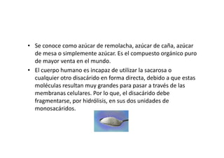• Se conoce como azúcar de remolacha, azúcar de caña, azúcar
de mesa o simplemente azúcar. Es el compuesto orgánico puro
de mayor venta en el mundo.
• El cuerpo humano es incapaz de utilizar la sacarosa o
cualquier otro disacárido en forma directa, debido a que estascualquier otro disacárido en forma directa, debido a que estas
moléculas resultan muy grandes para pasar a través de las
membranas celulares. Por lo que, el disacárido debe
fragmentarse, por hidrólisis, en sus dos unidades de
monosacáridos.
 