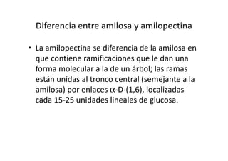 Diferencia entre amilosa y amilopectina
• La amilopectina se diferencia de la amilosa en
que contiene ramificaciones que le dan una
forma molecular a la de un árbol; las ramas
están unidas al tronco central (semejante a laestán unidas al tronco central (semejante a la
amilosa) por enlaces α-D-(1,6), localizadas
cada 15-25 unidades lineales de glucosa.
 
