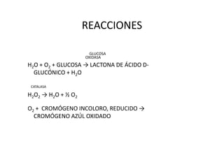 REACCIONES
GLUCOSA
OXIDASA
H2O + O2 + GLUCOSA → LACTONA DE ÁCIDO D-
GLUCÓNICO + H2O
CATALASA
H2O2 → H2O + ½ O2
O2 + CROMÓGENO INCOLORO, REDUCIDO →
CROMÓGENO AZÚL OXIDADO
 