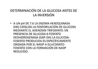 DETERMINACIÓN DE LA GLUCOSA ANTES DE
LA INVERSIÓN
• A UN pH DE 7.6 LA ENZIMA HEXOQUINASA
(HK) CATALIZA LA FOSFORILACIÓN DE GLUCOSA
MEDIANTE EL ADENOSIN TRIFOSFATO. EN
PRESENCIA DE GLUCOSA 6-FOSFATOPRESENCIA DE GLUCOSA 6-FOSFATO
DESHIDROGENASA (G6P-DH) LA GLUCOSA-
FOSFATO PRODUCIDA ES ESPECÍFICAMENTE
OXIDADA POR EL NADP A GLUCONATO-
FOSFATO CON LA FORMACIÓN DE NADP
REDUCIDO.
 
