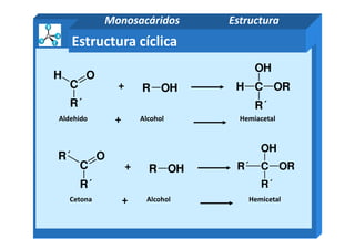 Estructura cíclica
Aldehido Alcohol Hemiacetal+
R OHC
H O
R´
CH
OH
OR
R´
+
Monosacáridos Estructura
+
CR´
OH
OR
R´
C
R´ O
R´
Cetona Alcohol Hemicetal+
R OH+
 