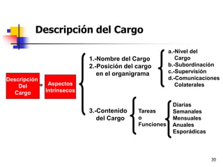 30
Descripción y Análisis de Cargos
 Descripción del Cargo
Descripción
Del
Cargo
Aspectos
Intrínsecos
1.-Nombre del Cargo
2.-Posición del cargo
en el organigrama
3.-Contenido
del Cargo
Tareas
o
Funciones
a.-Nivel del
Cargo
b.-Subordinación
c.-Supervisión
d.-Comunicaciones
Colaterales
Diarias
Semanales
Mensuales
Anuales
Esporádicas
=
 