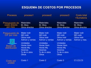 ESQUEMA DE COSTOS POR PROCESOS

    Procesos        proceso1         proceso2         proceso3        Costo total
                                                                     =Sumatoria

Presupuesto de Materiales         Materiales       Materiales       Materiales
 costo directo M. Obra            M. Obra          M. Obra          M. Obra
   por mes     Otros directos     Otros directos   Otros directos   Otros directos

Presupuesto de Mater indir        Mater indir      Mater indir      Mater indir
 CIF por mes   MO indir           MO indir         MO indir         MO indir
                 Otros indir      Otros indir      Otros indir      Otros indir
                 Admon y ventas   Admon y ventas   Admon y ventas   Admon y vtas.
        /        Unidades         Unidades         Unidades
   Bases de      Horas Hom        Horas Hom        Horas Hom
  distribución   Horas Mq         Horas Mq         Horas Mq
                 Gramos           Gramos           Gramos
                 % de m obra      % de m obra      % de m obra
                 Otros            Otros            Otros


  Costo por      Costo 1          Costo 2          Costo 3          C1,C2,C3
   unidad
 