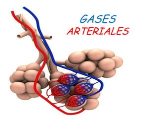 GASES
ARTERIALES
 