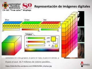 Bitonal Color Análisis de imagen | PPTX