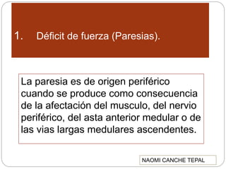 1. Déficit de fuerza (Paresias).
La paresia es de origen periférico
cuando se produce como consecuencia
de la afectación del musculo, del nervio
periférico, del asta anterior medular o de
las vias largas medulares ascendentes.
NAOMI CANCHE TEPAL
 
