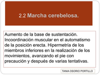 2.2 Marcha cerebelosa.
Aumento de la base de sustentación.
Incoordinación muscular en el automatismo
de la posición erecta. Hipermetría de los
miembros inferiores en la realización de los
movimientos, avanzando el pie con
precaución y después de varias tentativas.
TANIA OSORIO PORTILLO
 