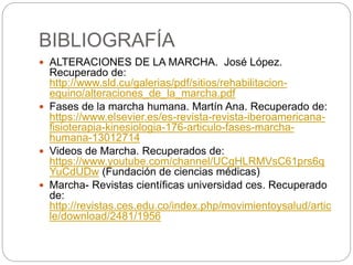 BIBLIOGRAFÍA
 ALTERACIONES DE LA MARCHA. José López.
Recuperado de:
http://www.sld.cu/galerias/pdf/sitios/rehabilitacion-
equino/alteraciones_de_la_marcha.pdf
 Fases de la marcha humana. Martín Ana. Recuperado de:
https://www.elsevier.es/es-revista-revista-iberoamericana-
fisioterapia-kinesiologia-176-articulo-fases-marcha-
humana-13012714
 Videos de Marcha. Recuperados de:
https://www.youtube.com/channel/UCgHLRMVsC61prs6q
YuCdUDw (Fundación de ciencias médicas)
 Marcha- Revistas científicas universidad ces. Recuperado
de:
http://revistas.ces.edu.co/index.php/movimientoysalud/artic
le/download/2481/1956
 