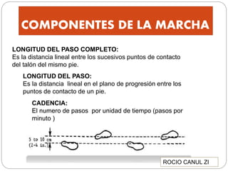COMPONENTES DE LA MARCHA
LONGITUD DEL PASO COMPLETO:
Es la distancia lineal entre los sucesivos puntos de contacto
del talón del mismo pie.
LONGITUD DEL PASO:
Es la distancia lineal en el plano de progresión entre los
puntos de contacto de un pie.
CADENCIA:
El numero de pasos por unidad de tiempo (pasos por
minuto )
ROCIO CANUL ZI
 