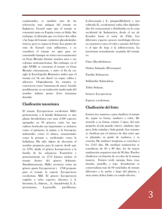 3
continentales, es también uno de las
referencias más antiguas del tomate en
Inglaterra. Gerard supo que el tomate se
consumió tanto en España como en Italia. Sin
embargo, él afirmaba que era tóxico (los tallos
y las hojas del tomate contienen glicoalcaloides
tóxicos, pero es segura la fruta). Los puntos de
vista de Gerard eran influyentes, y se
consideró el tomate no apto para ser
consumido (aunque no tóxico necesariamente)
en Gran Bretaña durante muchos años y sus
colonias norteamericanas. Sin embargo, en el
siglo XVIII, se consumió el tomate en Gran
Bretaña extensamente, y antes el fin de ese
siglo la Enciclopedia Britannica indicó que el
tomate era "de uso diario" en sopas, caldos y
aderezos. Originalmente los tomates se
conocieron como "manzanas de amor", basado
posiblemente en un traducción inadecuada del
nombre italiano pomo d'oro (manzana
dorada).
Clasificación taxonómica
El tomate (Lycopersicon esculentum Mill.)
perteneciente a la familia Solanaceae es una
planta dicotiledónea con unas 2.300 especies
agrupadas en 96 géneros, entre los que
cultivos hortícolas tan importantes se incluyen
como el pimiento, la patata, o la berenjena,
industriales como el tabaco, ornamentales
como la petunia y, medicinales como la
belladona. Ha sido objeto de discusión el
nombre propuesto para la especie desde que
en 1700, añade el género Lycopersicon a la
familia de las solanáceas Tournefort y
posteriormente en 1754 Linneo incluye el
tomate dentro del género Solanum.
Simultáneamente, Miller reconoce como un
género aparte Lycopersicon y 1768 propone
para el tomate la especie Lycopersicon
esculentum Mill. El género Lycopersicon
engloba a ocho especies silvestres (, L
hirsutum, L. chilense, , L. chmielewskii, L. L.
peruvianum, L.pennellii. parviflorum,
L.cheesmanii y L. pimpinellifolium) y una
cultivada (L. esculentum), todas ellas diploides
(2n=24 cromosomas) y distribuidas en la costa
occidental de Sudamérica, desde el sur de
Ecuador hasta el norte de Chile. Las
diferentes especies poseen morfología diversa
en caracteres como el color y tamaño del fruto
o el tipo de hoja o la inflorescencia. La
taxonomía normalmente aceptada del tomate
es:
Clase: Dicotiledóneas.
Orden: Solanales (Personatae).
Familia: Solanaceae.
Subfamilia: Solanoideae.
Tribu: Solanae.
Género: Lycopersicon.
Especie: esculentum.
Clasificación del fruto:
Existen tres maneras a para clasificar el tomate
de, según su forma, madurez y color. De
acuerdo a su forma, existen 5 tipos, del más
pequeño al más grande: cherry, saladette, tipo
pera, bola estándar y bola grande. Los tomates
se clasifican por el número de días entre que
es plantado, su grado de madurez, y su
cosecha. De madurez temprana se cosechan a
los 55-65 días. De mediana maduración se
consideran de 66 a 80 días, los de mayor
maduración requieren más de 80 días. Pueden
clasificarse en función de su color de la misma
manera. Existen verde naranja, lima, rosa,
dorado, amarillo, y rojo. Actualmente se
comercializan más de 60 variedades de tomate
diferentes a lo ancho y largo del planeta, y
otras tantas deben haber en estado silvestre.
 