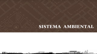 SISTEMA AMBIENTAL
 