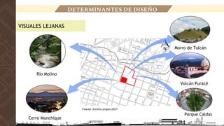 VISUALES LEJANAS
Río Molino
Cerro Munchique
Morro de Tulcán
Volcán Puracé
Parque Caldas
DETERMINANTES DE DISEÑO
Fuente: Archivo propio-2021
 