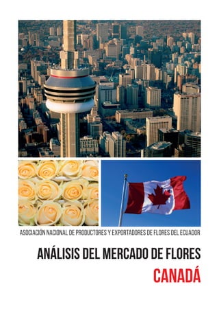 Análisis Del Mercado De Flores
CANADÁ
Asociación Nacional de Productores y Exportadores de Flores del Ecuador
 