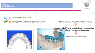 Cálculo
2
SEGMENTO POSTERIOR
EDP (ESPACIO DISPONIBLE POSTERIOR) ERP (ESPACIO REQUERIDO POSTERIOR)
Predecir el diámetro mesiodistal combinados
del canino y premolares inferiores
Tablas de Probabilidad
 