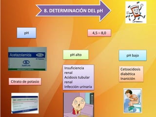 8. DETERMINACIÓN DEL pH

pH

4,5 – 8,0

pH alto

Citrato de potasio

Insuficiencia
renal
Acidosis tubular
renal
Infección urinaria

pH bajo

Cetoacidosis
diabética
Inanición

 