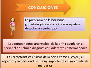 CONCLUCIONES
La presencia de la hormona
gonadotropina en la orina nos ayuda a
detectar un embarazo.

Los componentes anormales de la orina ayudaran al
personal de salud a diagnosticar diferentes enfermedades.
Las caracteristicas fisicas de la orina como el color ; el
aspecto y la densidad son muy importantes al momento de
analizarlos.

 