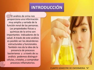 INTRODUCCIÓN
El análisis de orina nos
proporciona una información
muy amplia y variada de la
función renal de las personas.
Las propiedades físicas y
químicas de la orina son
importantes indicadores de la
salud. A través de este análisis
es posible ver los desórdenes
estructurales y funcionales.
También nos da la idea de la
presencia de procesos
bacterianos y a través de su
análisis podemos distinguir
células, cristales, y comprobar
procesos inflamatorios.
CUARTO SEMESTRE DE ENFERMERIA “A”

 