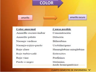 COLOR
amarillo

amarillo oscuro

CUARTO SEMESTRE DE ENFERMERIA “A”

 