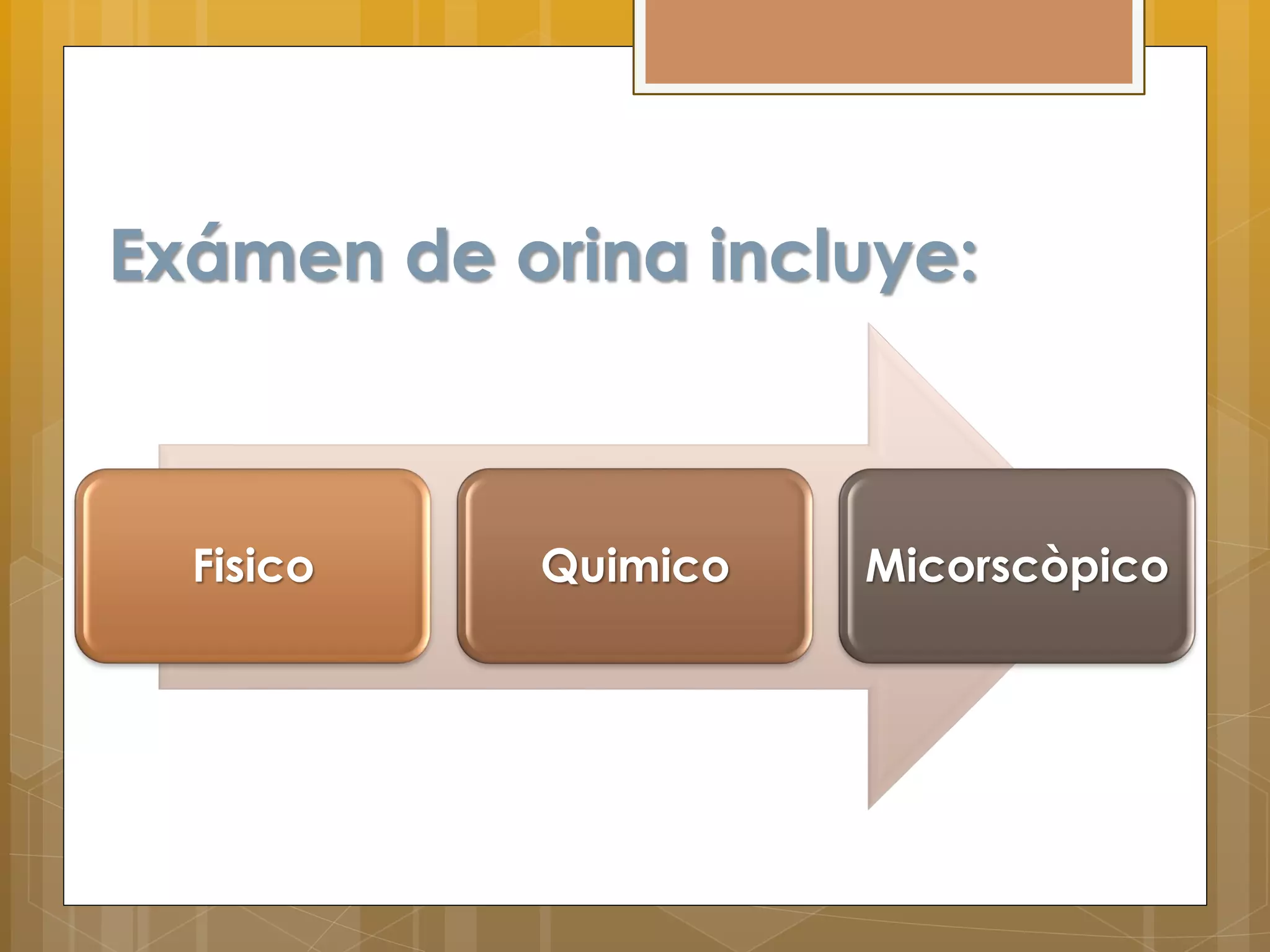 ANALISIS DE ORINA.pdf