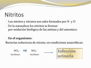 Analisis de orina nitritos | PPTX