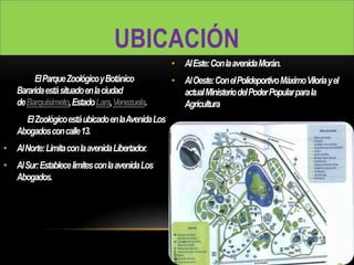 UBICACIÓN
ElParqueZoológicoyBotánico
Bararidaestásituadoenlaciudad
deBarquisimeto,EstadoLara,Venezuela.
ElZoológicoestáubicadoenlaAvenidaLos
Abogadosconcalle13.
• AlNorte:LimitaconlaavenidaLibertador.
• AlSur:EstablecelímitesconlaavenidaLos
Abogados.
• AlEste:ConlaavenidaMorán.
• AlOeste:ConelPolideportivoMáximoViloriayel
actualMinisteriodelPoderPopularparala
Agricultura
 