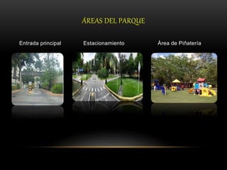 ÁREAS DEL PARQUE
Entrada principal Estacionamiento Área de Piñatería
 