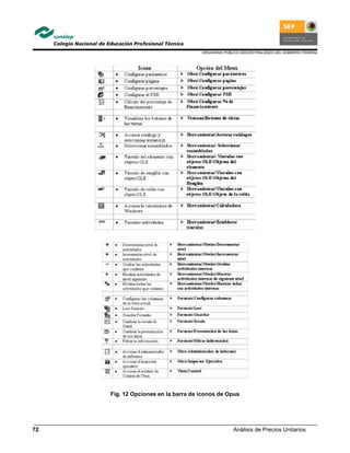 ORGANISMO PÚBLICO DESCENTRALIZADO DEL GOBIERNO FEDERAL
Análisis de Precios Unitarios72
Fig. 12 Opciones en la barra de iconos de Opus
 