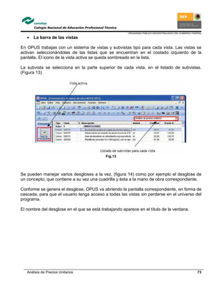 ORGANISMO PÚBLICO DESCENTRALIZADO DEL GOBIERNO FEDERAL
Análisis de Precios Unitarios 73
• La barra de las vistas
En OPUS trabajas con un sistema de vistas y subvistas tipo para cada vista. Las vistas se
activan seleccionándolas de las listas que se encuentran en el costado izquierdo de la
pantalla. El icono de la vista activa se queda sombreado en la lista.
La subvista se selecciona en la parte superior de cada vista, en el listado de subvistas.
(Figura 13)
Fig.13
Se pueden manejar varios desgloses a la vez, (figura 14) como por ejemplo el desglose de
un concepto, que contiene a su vez una cuadrilla y ésta a la mano de obra correspondiente.
Conforme se genera el desglose, OPUS va abriendo la pantalla correspondiente, en forma de
cascada, para que el usuario tenga acceso a todas las vistas sin perderse en el universo del
programa.
El nombre del desglose en el que se está trabajando aparece en el título de la ventana.
 
