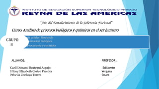 Curso: Análisis de procesos biológicos y químicos en el ser humano
Teoría celular. Niveles de
organización biológica.
Célula: procariente y eucariota.
ALUMNOS:
Carli Diosami Reategui Aspajo
Hilary Elizabeth Castro Paredes
Priscila Cordova Torres
PROFESOR :
Edilberto
Vergara
Souza
“Año del Fortalecimiento de la Soberanía Nacional”
GRUPO
8
 