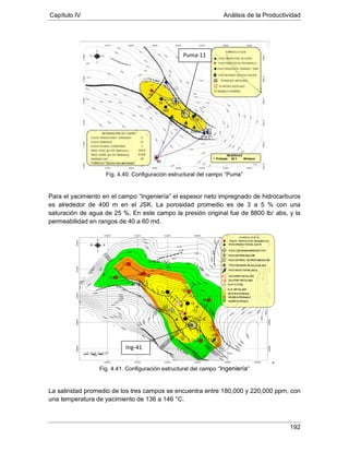 Capítulo IV Análisis de la Productividad
192
Fig. 4.40. Configuración estructural del campo “Puma”
Para el yacimiento en el campo “Ingeniería” el espesor neto impregnado de hidrocarburos
es alrededor de 400 m en el JSK. La porosidad promedio es de 3 a 5 % con una
saturación de agua de 25 %. En este campo la presión original fue de 8800 lb/ abs, y la
permeabilidad en rangos de 40 a 60 md.
Fig. 4.41. Configuración estructural del campo “Ingeniería”
La salinidad promedio de los tres campos se encuentra entre 180,000 y 220,000 ppm, con
una temperatura de yacimiento de 136 a 146 °C.
Puma-11
Ing-41
 