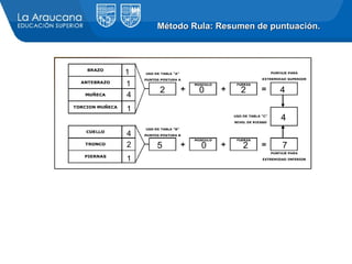 Tabla Resumen Rula Analisis de puesto de trabajo ergonomia | PPT