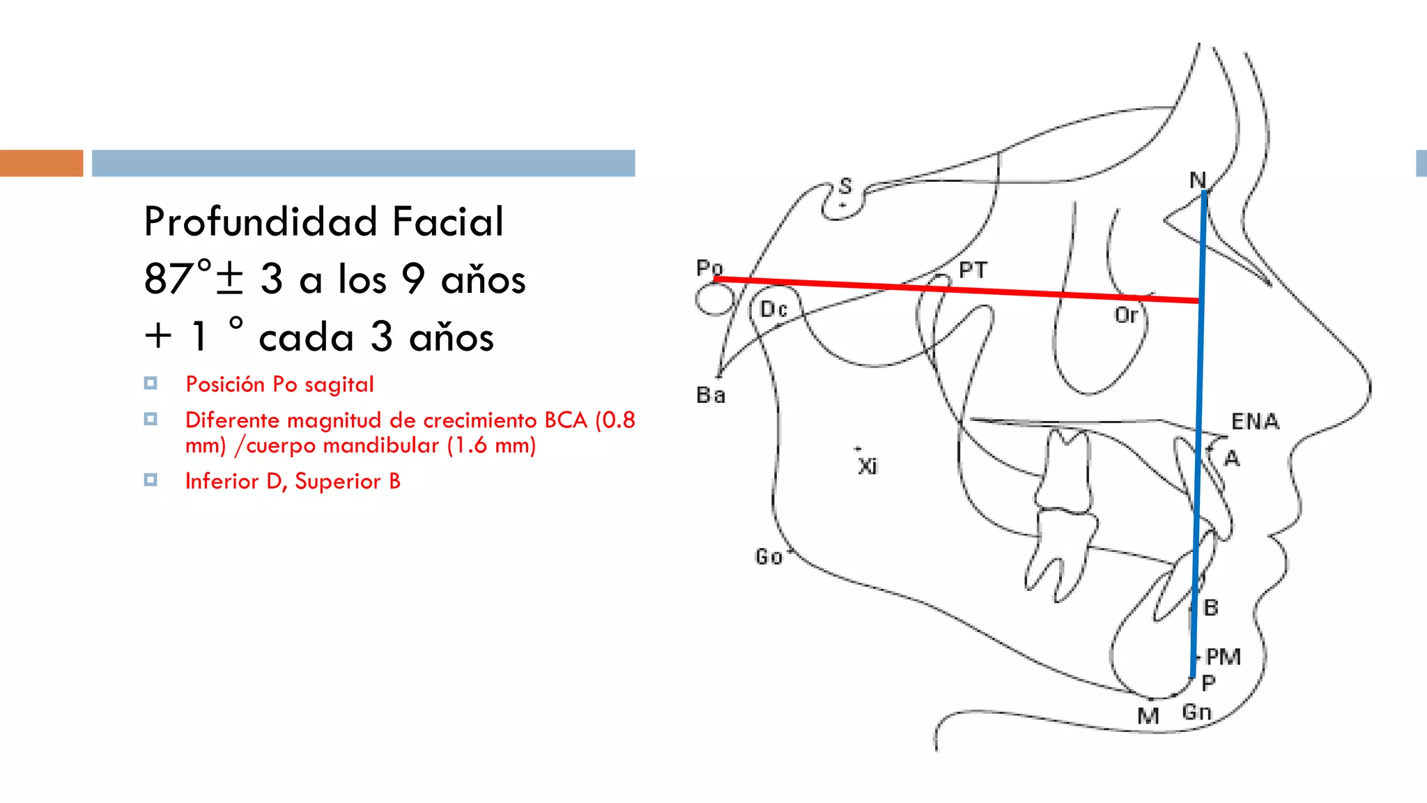 Analisis de Ricketts Resumido | PPT