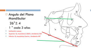 Angulo del Plano Mandibular   26°± 4 1 ° cada 3 aňos Inclinación cuerpo Superior: D, musculatura débil y tendencia MA Inferior: B, musculatua fuerte y tendencia MP 