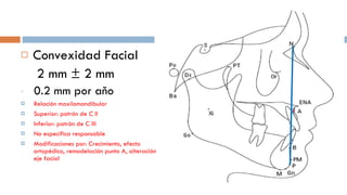 Convexidad Facial   2 mm ± 2 mm 0.2 mm por aňo Relación maxilomandibular Superior: patrón de C II Inferior: patrón de C III No especifica responsable Modificaciones por: Crecimiento, efecto ortopédico, remodelación punto A, alteración eje facial  