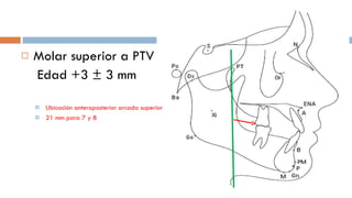 Molar superior a PTV   Edad +3 ± 3 mm Ubicación anteroposterior arcada superior 21 mm para 7 y 8 