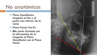 No anatómicos Plano Mandibular: tangente al Me y al punto mas inferior de la rama Plano Facial: Na-Po Gn:  punto formado por la intersección de la tangente al Plano Mandibular con el Plano Facial  