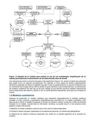 Figura 1.5 Ejemplo de un modelo para explicar el uso de una metodología: simplificación de un
método para balancear la alimentación de una determinada clase de animal.
Las interacciones entre el consumo de pasto y del suplemento (Figura 1.5), ilustran el efecto de sustitución
que puede ocurrir en algunas circunstancias. Por ejemplo, el único efecto de ofrecer suplementación
alimenticia al ganado es reducir la ingestión de pasto. Como la suplementación no permite compensar con
un incremento de la carga animal, ella no tendrá un gran beneficio y sería antieconómica. La construcción
de modelos cualitativos de este tipo es de gran utilidad ya que permite examinar posibles interacciones
entre componentes del sistema y decidir si son lo suficientemente importantes como para ser tomadas en
cuenta.
1.6 Modelos cuantitativos
Después de desarrollar un modelo cualitativo que represente adecuadamente la realidad, podemos
proceder a incluir números y expresiones matemáticas para convertirlo en un modelo cuantitativo. Este
paso ayuda a refinar el modelo conceptual al intentar de introducir valores numéricos a todos los factores
incluidos en el modelo. Cuando falta la información numérica, se puede recurrir a tres acciones como
paliativo a estas restricciones:
i) Modificar el modelo cualitativo conforme para incluir sólo los datos disponibles.
ii) Introducir valores supuesto, basándose en la experiencia personal y en referencias bibliográficas.
iii) Determinar los valores numéricos requeridos, por medio de un estudio específico de la situación en
cuestión.
 
