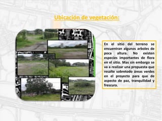 Ubicación de vegetación:
En el sitio del terreno se
encuentran algunos arboles de
poca altura. No existen
especies importantes de flora
en el sitio. Mas sin embargo se
va a realizar una propuesta que
resalte sobretodo áreas verdes
en el proyecto para que de
aspecto de paz, tranquilidad y
frescura.
 