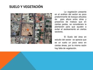 SUELO Y VEGETACIÓN
La vegetación presente
en el análisis del sector es poco
predominante de bosque arbustos
de gran altura entre otras y
presencia de maleza que en
ciertas partes, se considerara la
plantación para que ayuden a
evitar el asoleamiento en ciertos
sectores.
El Suelo del área en
estudio del sector se aprecia que
es un suelo un poco seco en
ciertas áreas, por la misma razón
hay falta de vegetación.
 