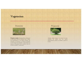 Vegetecion
Existente
El pasto te monte: (brachypodium sylvaticum)
es una planta nativa de Europa, Asia y Africa.
En Norteamerica es un especie invasora. En
Canarias se escuentra en enclaves humedos
en los bosques de laurisilva y fayal brezal, asi
como en los pinares de la vertiente norte de
las islas centrales y occidentales.
Propuesta
Arbusto: planta leñosa, de menos de cinco
mentros de altura, sin un tronco
preponderante, porque se ramifica a partir de
la base.
 